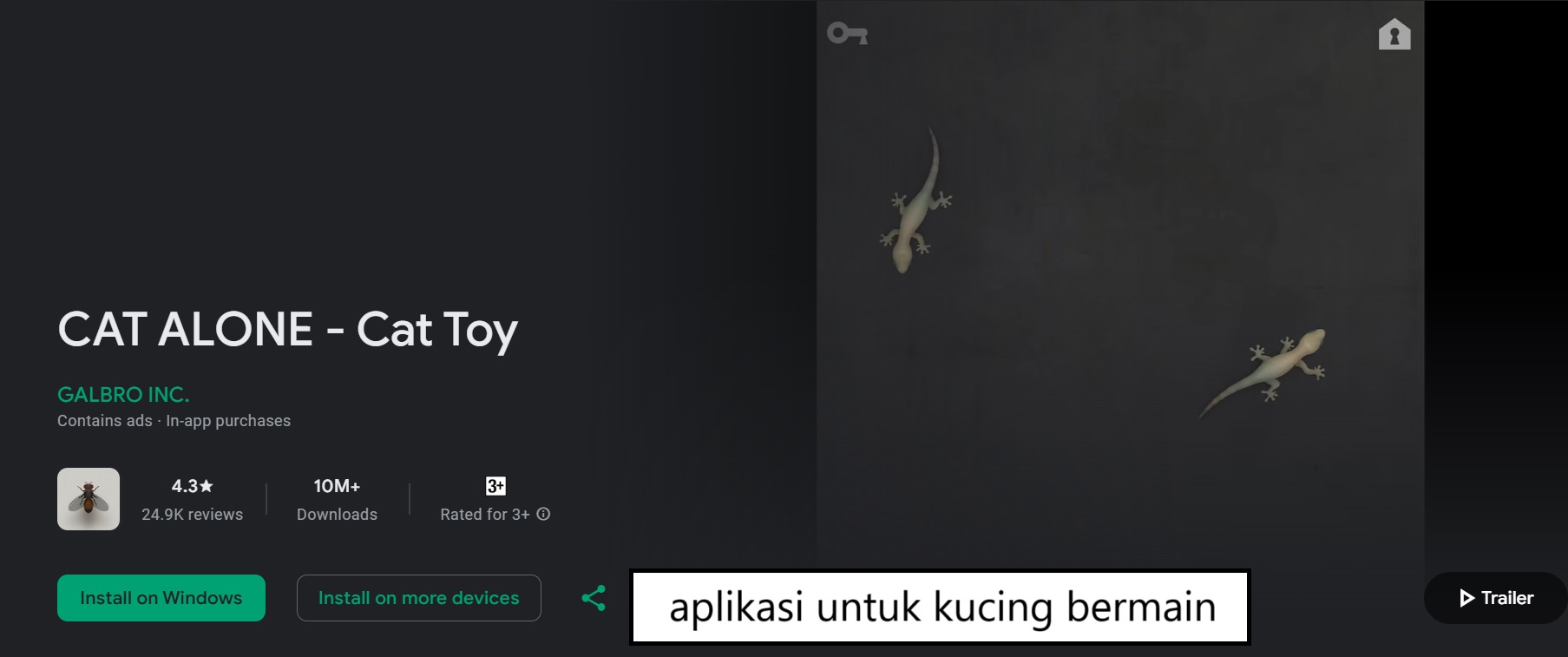 aplikasi untuk kucing bermain